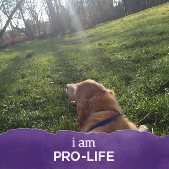 Meet your Posher, Carla - Picture 4 of 4